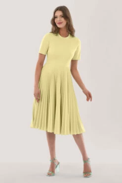 Closet London Yellow Pleated Dress -Closet London Popular Shop JD6994 DSC 1001 51183.1623340725.1280.1280 copy 5 69551.1653382696
