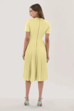 Closet London Yellow Pleated Dress -Closet London Popular Shop JD6994 DSC 1013 54713.1623340725.1280.1280 copy 5 87705.1653382696