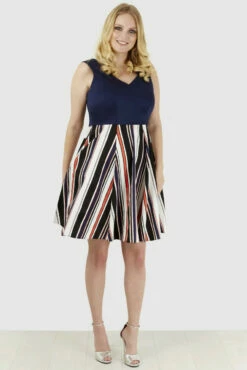 Closet Curves Navy V Neck Stripe Dress